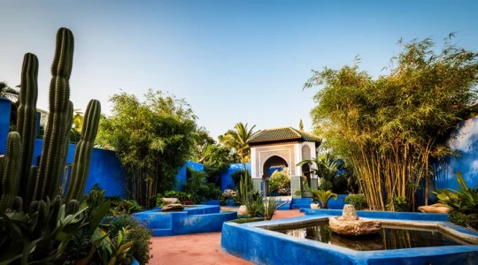 Vue panoramique du jardin Majorelle avec ses murs bleu cobalt, ses cactus monumentaux et ses allées ombragées sous le soleil de Marrakech