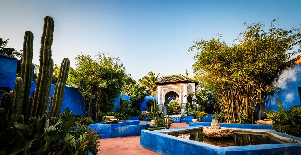 Vue panoramique du jardin Majorelle avec ses murs bleu cobalt, ses cactus monumentaux et ses allées ombragées sous le soleil de Marrakech