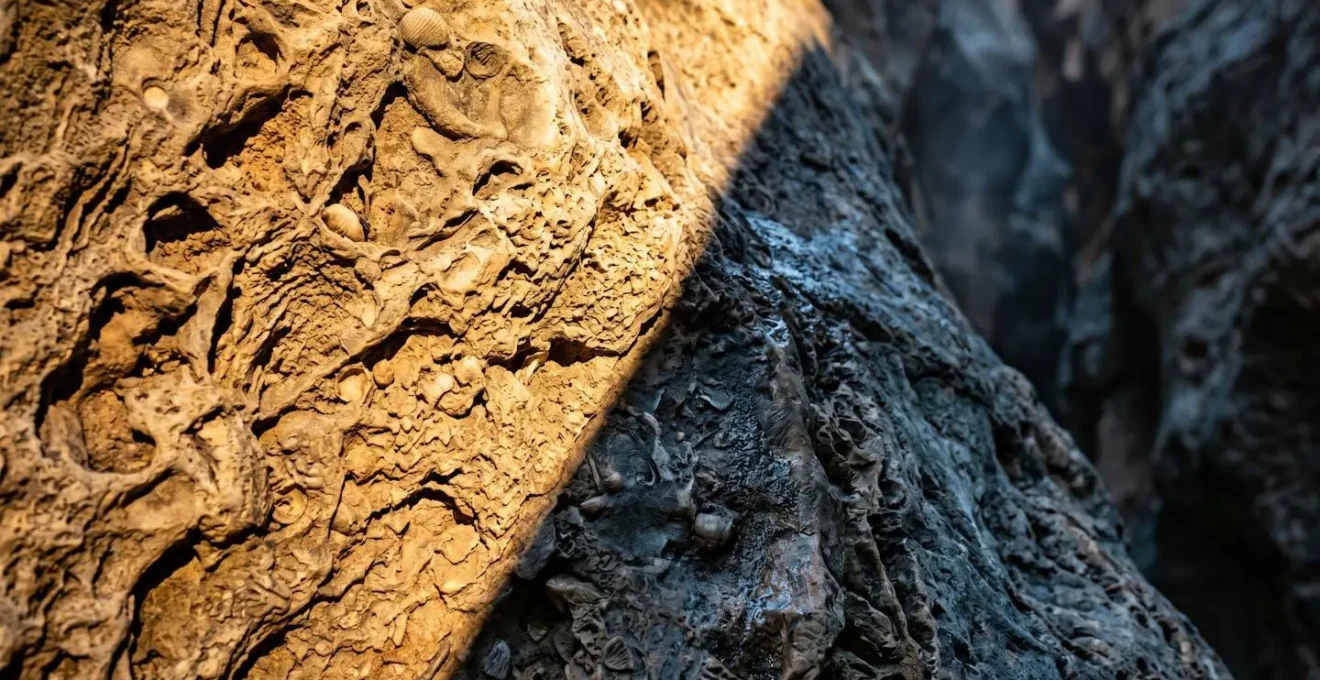 Jeu d'ombres et de lumière dans le canyon étroit des Gorges du Todra